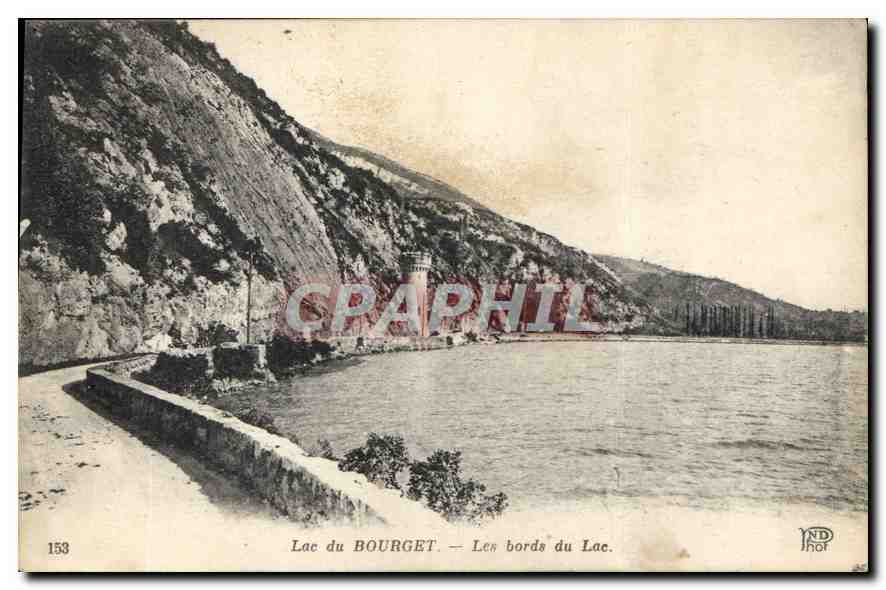 CPA Lac du Bourget Les bords du Lac 