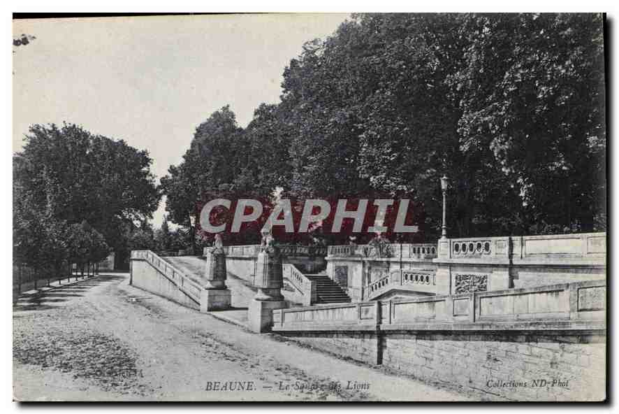 CPA Beaune Le Savoie des Lions 