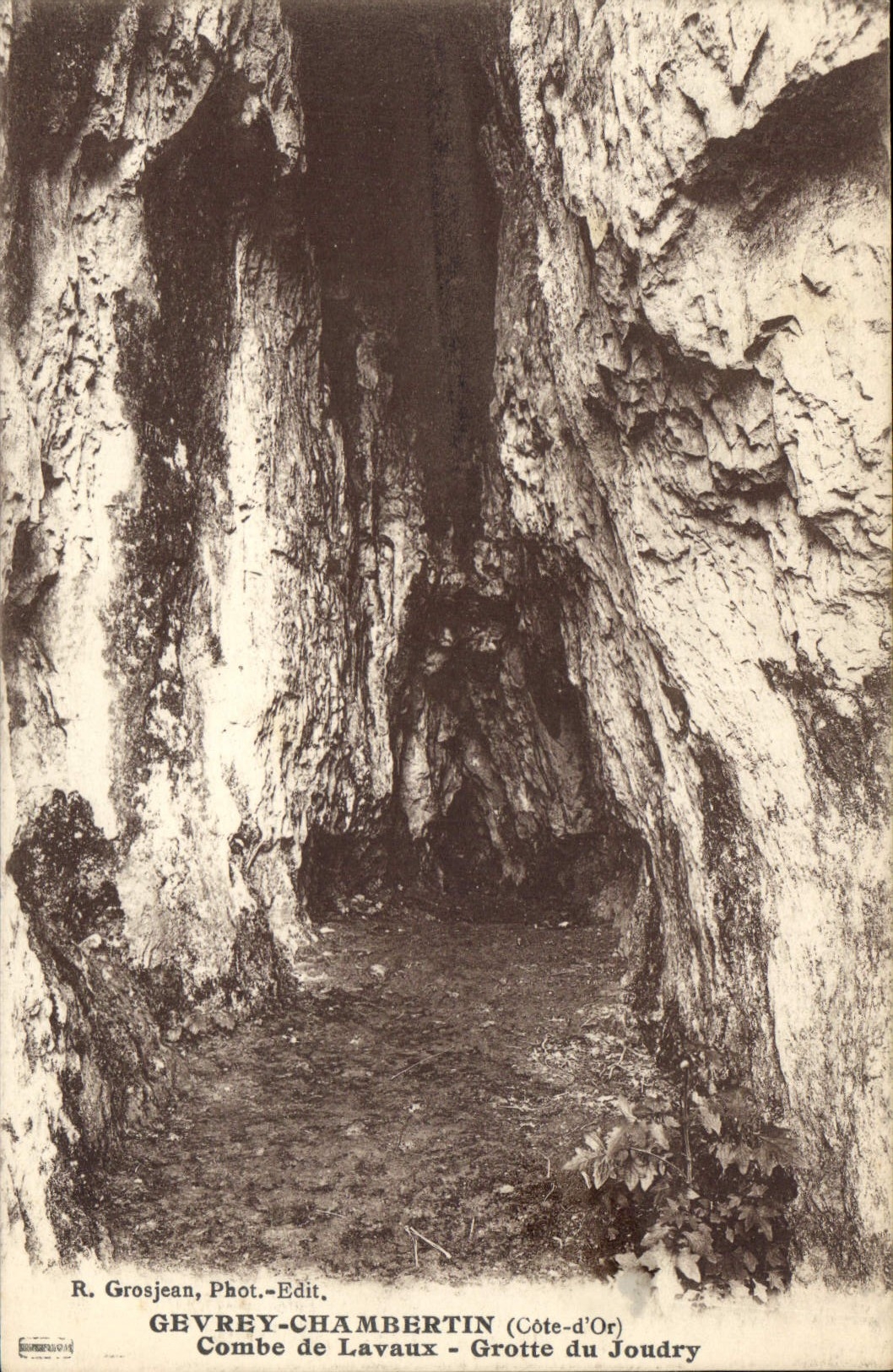 CPA Gevrey Chambertin Cote d'Or Combe de Lavaux Grotte du Joudry 