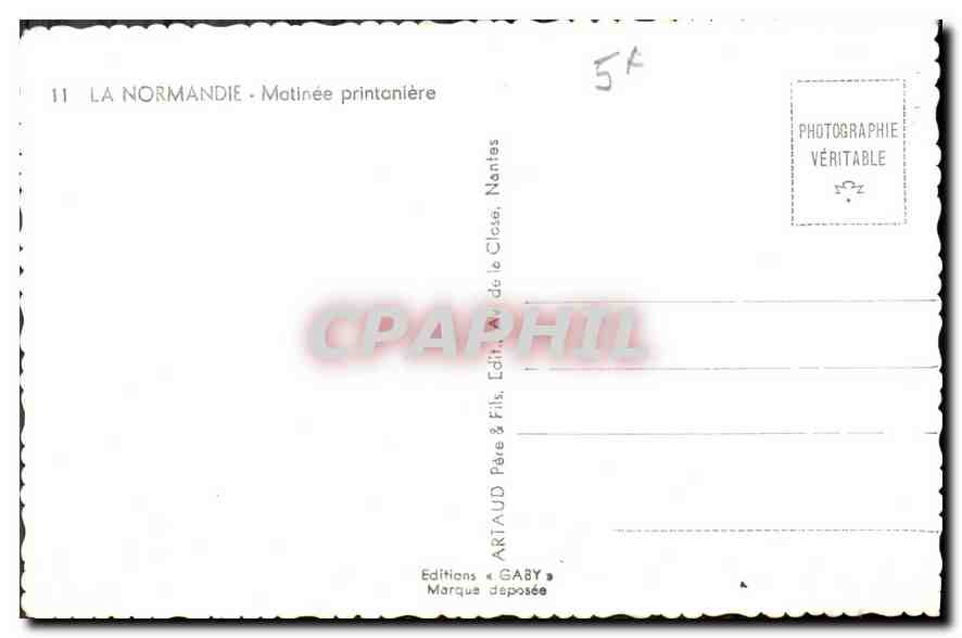 CPA La Normandie Matinee printaniere Vaches — Rückseite