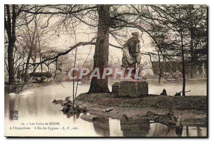 CPA Les Coins de Dijon A l'Arquebuse L'ile des cygnes