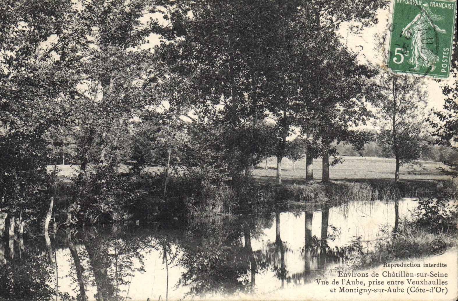 CPA Environs de Chatillon sur Seine Vue de l'Aube prise entre Veuxhaulles et Montigny sur Aube