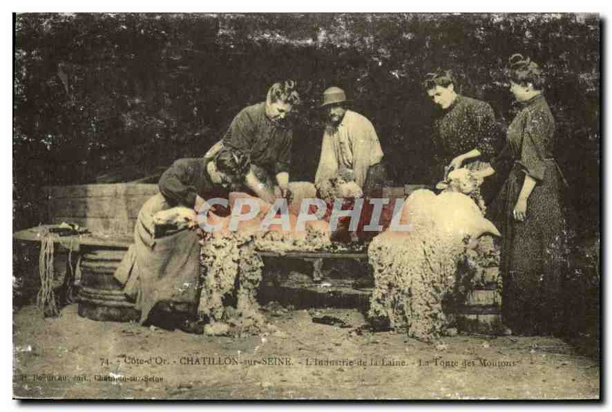 REPRO Cote d'Or Chatillon sur Seine 