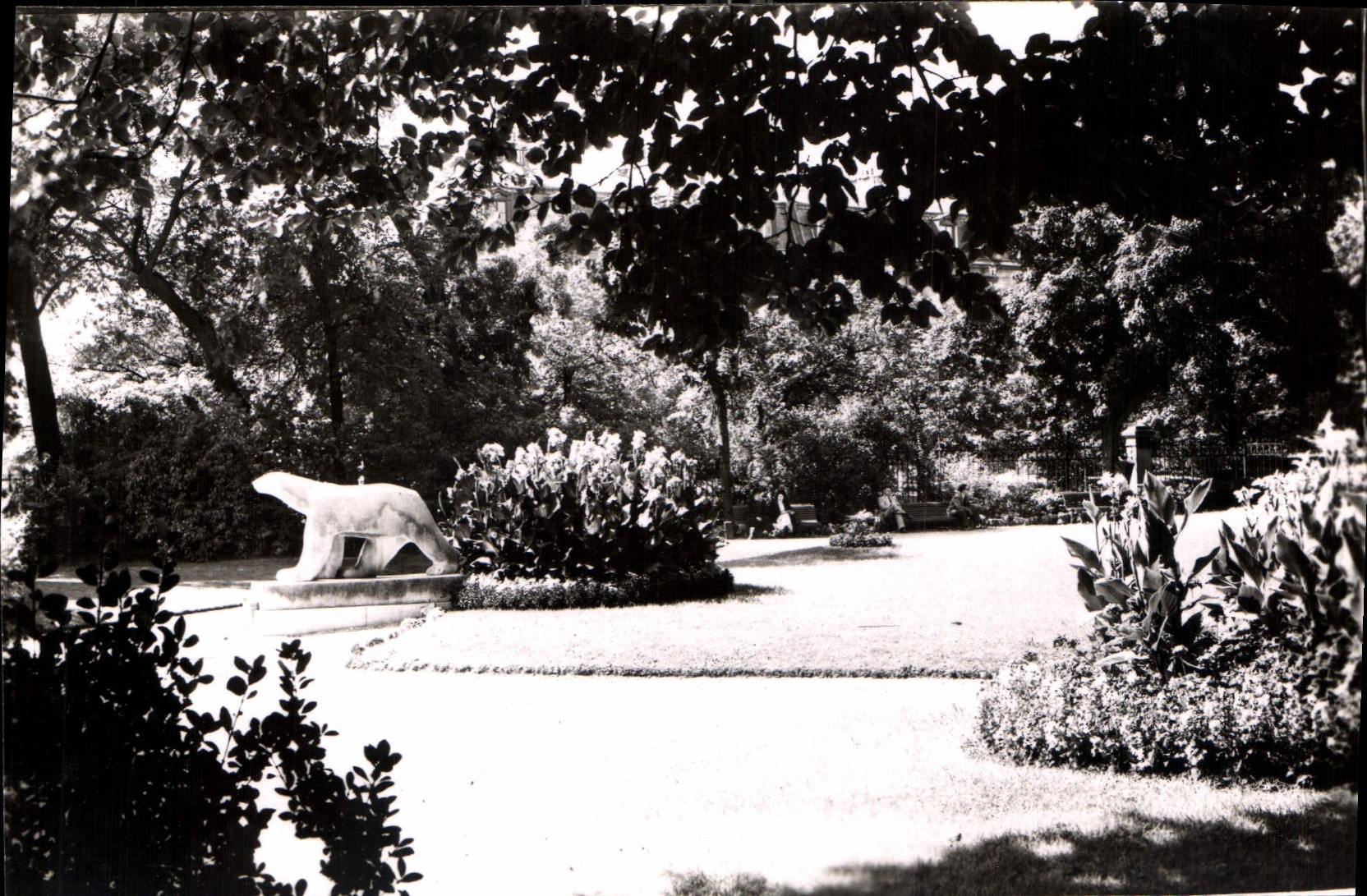 CPA Dijon Cote d'Or Jardin Darcy Ours polaire
