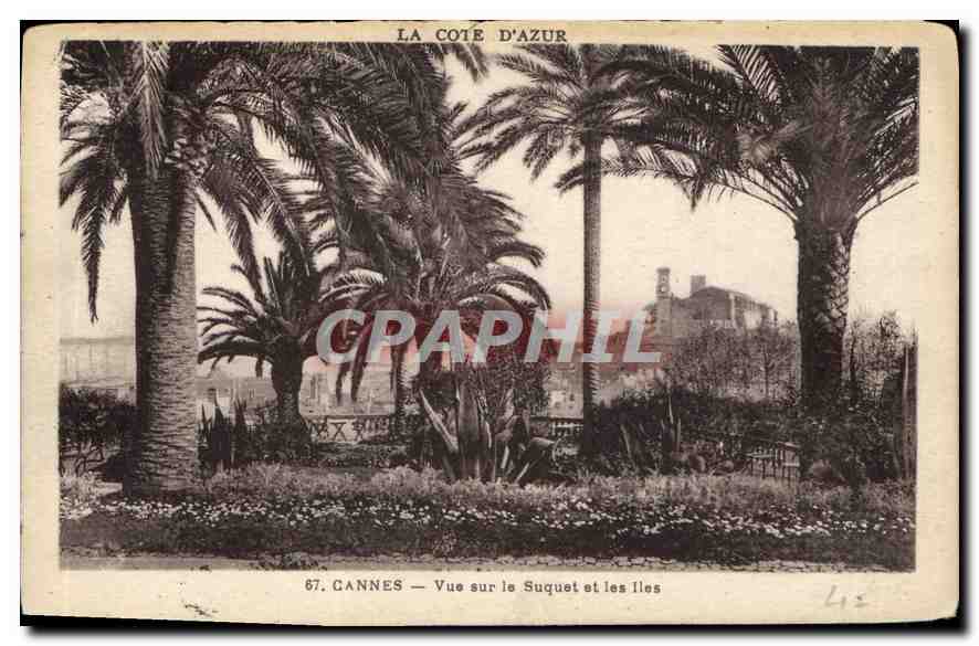 CPA Cannes Vue sur le Suquet et les Iles 