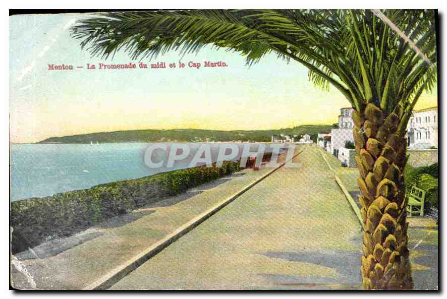 CPA Menton La Promenade du midi et le Cap Martin 