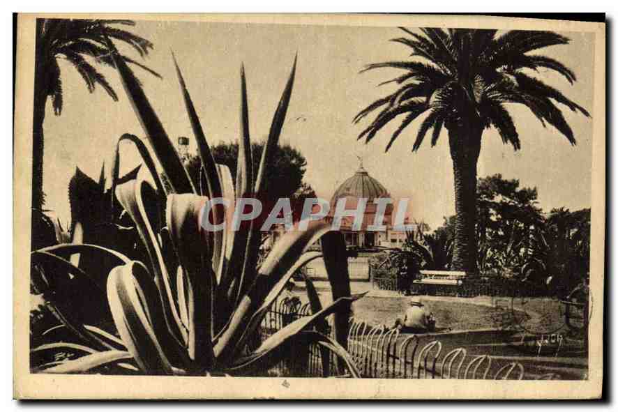 CPA Nice Alpes Maritimes Jardin Albert 1er