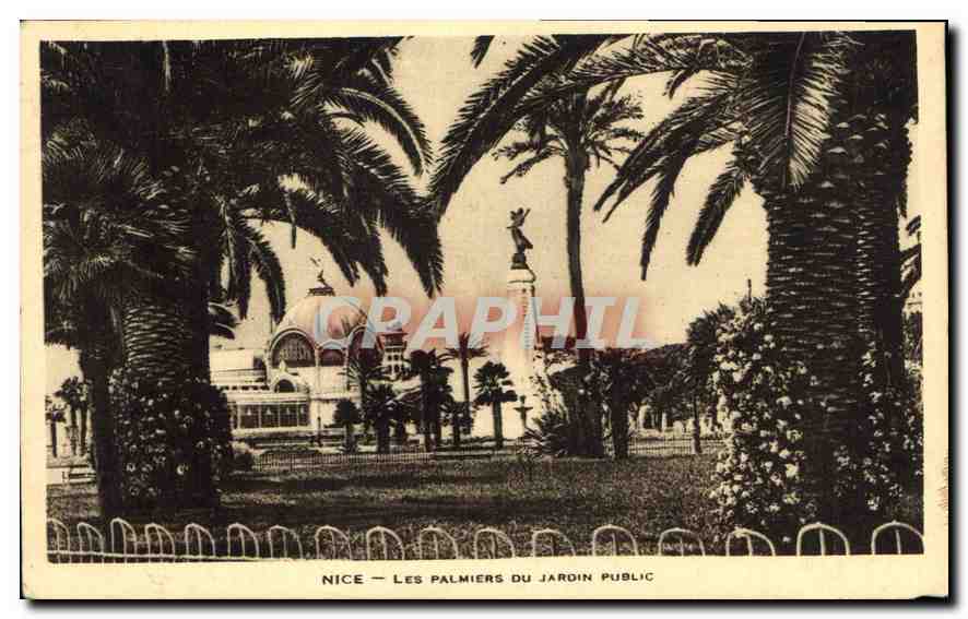 CPA Nice Les Palmiers du Jardin Public 