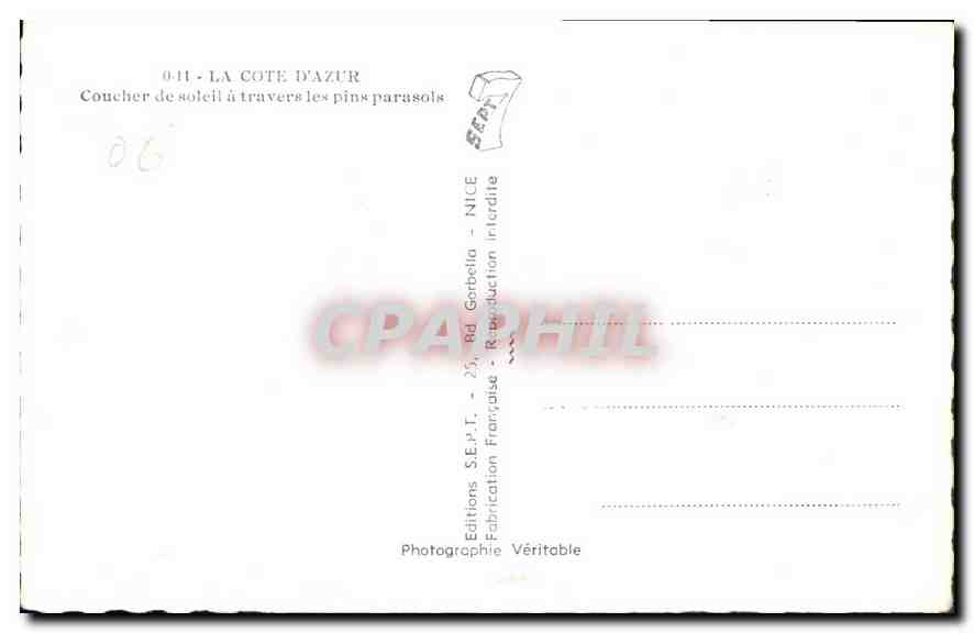 CPA La Cote d'Azur Coucher de soleil a travers les pins parasols  — Verso