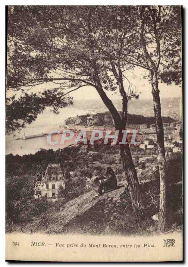 CPA Nice Vue prise du Mont Boron entre les Pins 