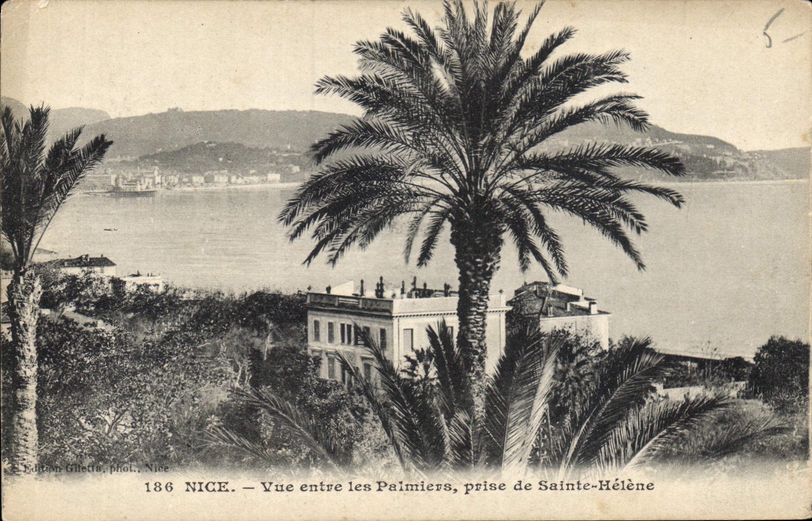 CPA Nice Vue entre les Palmiers prise de Sainte Helene 