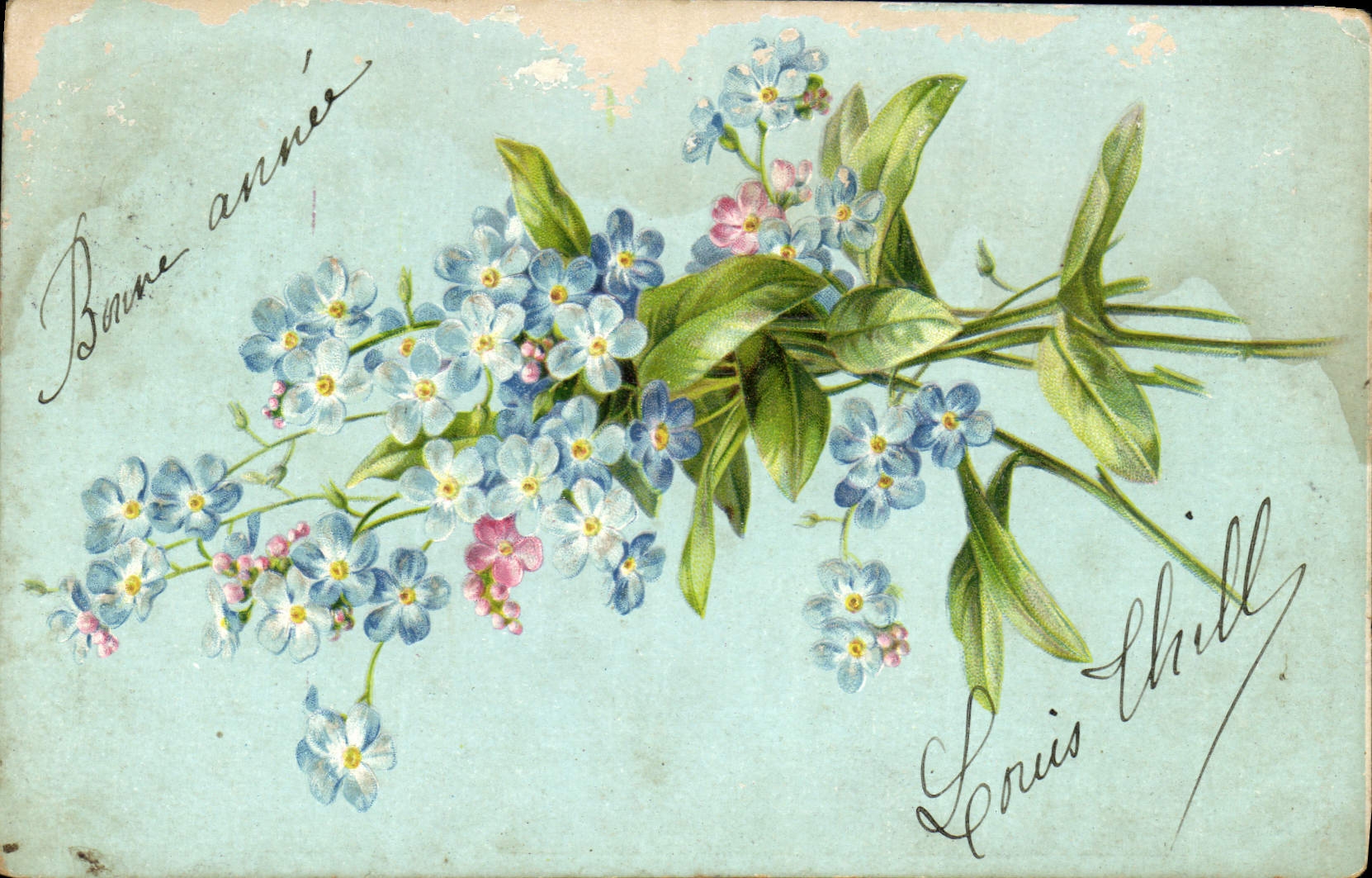 CPA Fleurs