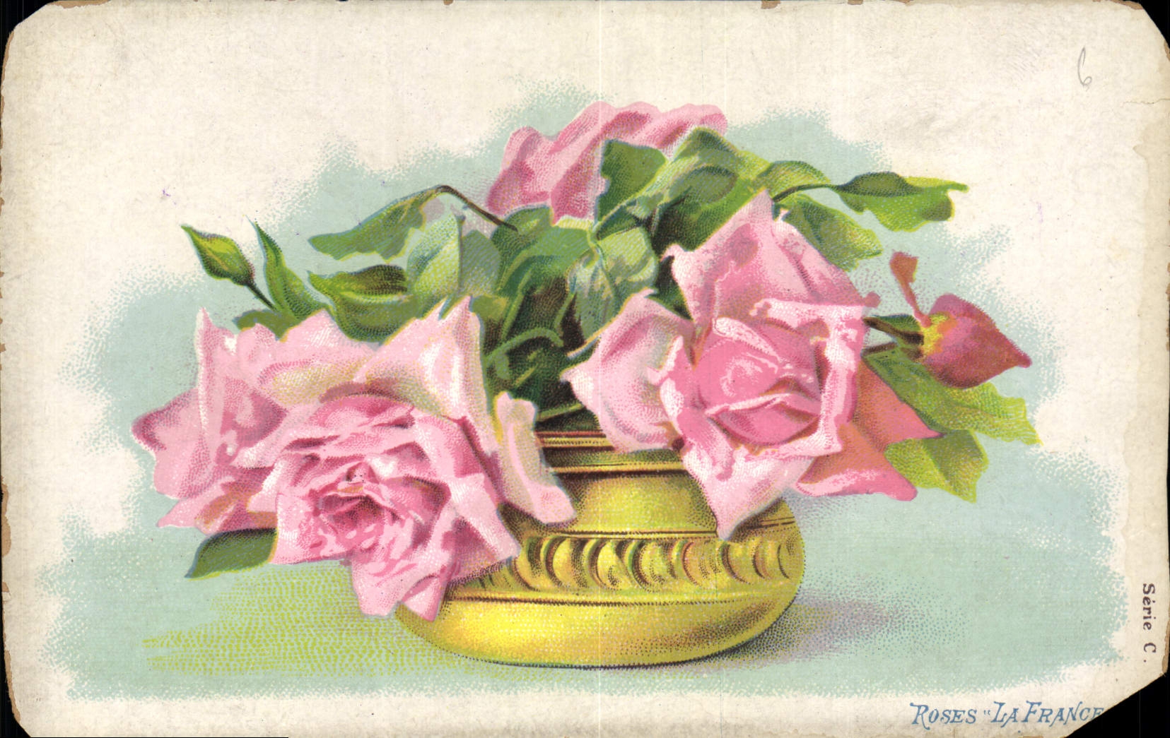 CPA Fleurs