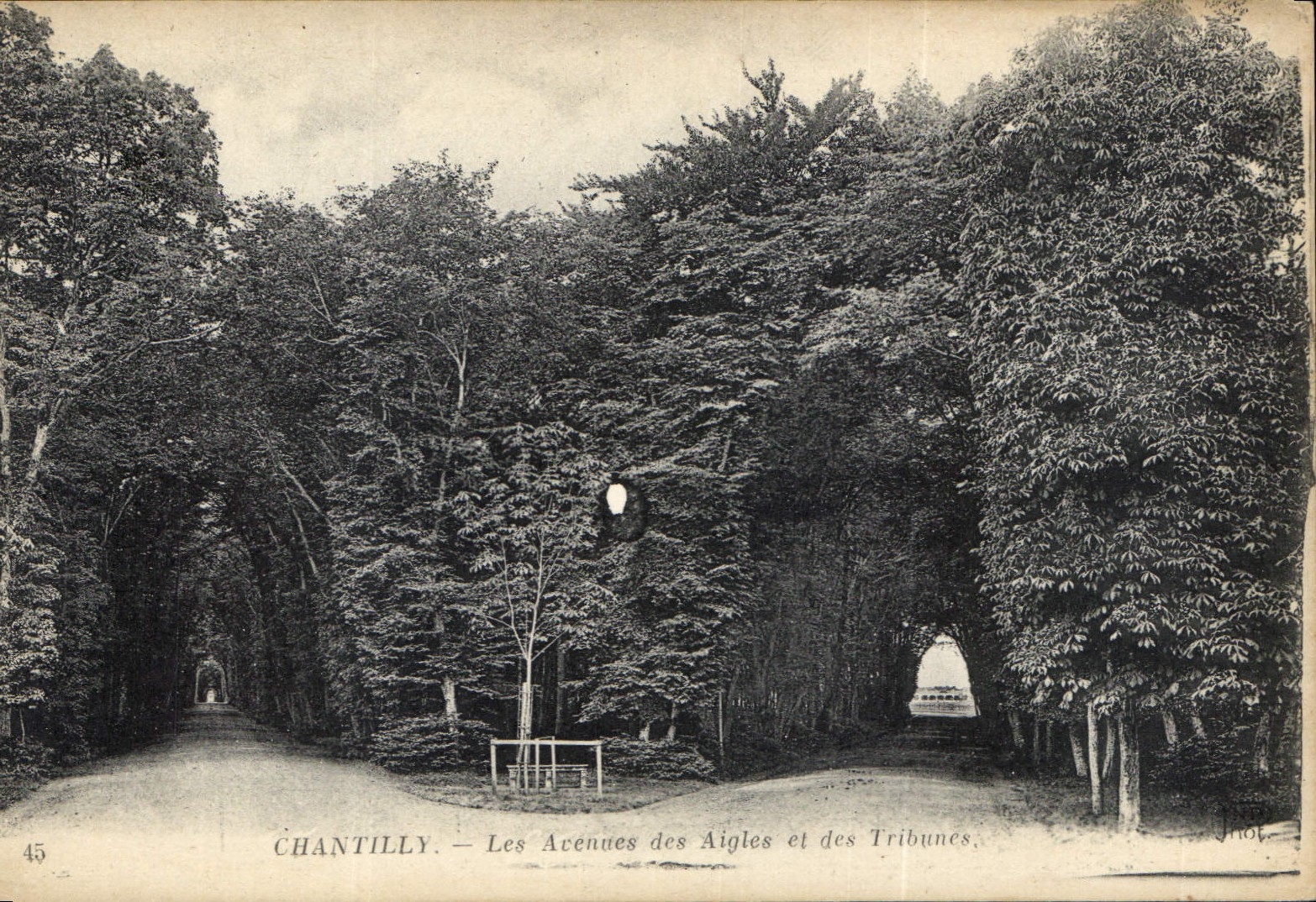 CPA Chantilly Les Avenues des Aigles et des Tribunes 