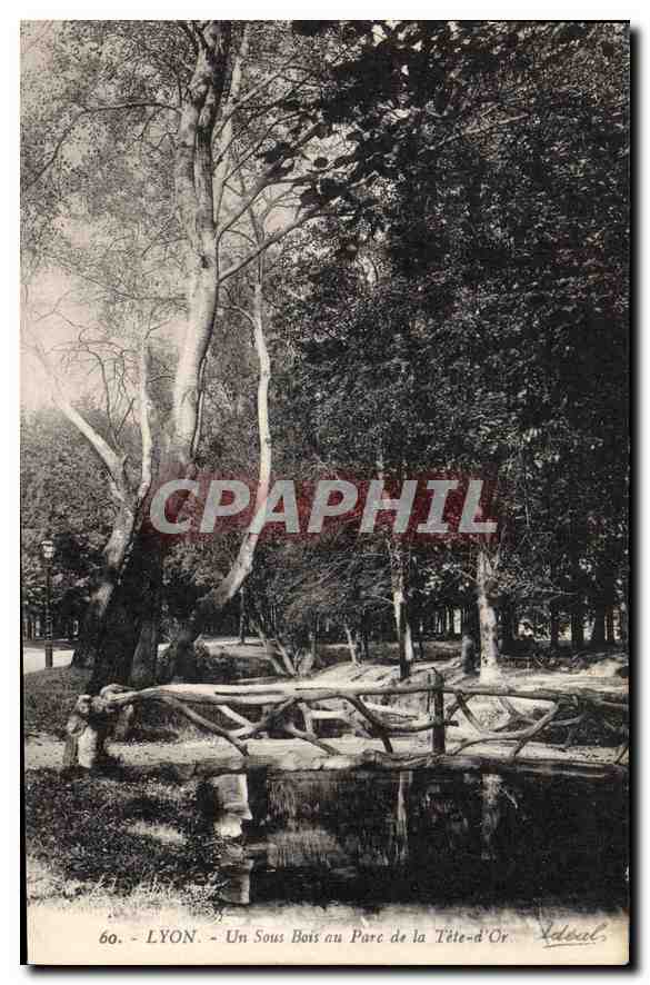CPA Lyon Un Sous Bois au Parc de la Tete d'Or 