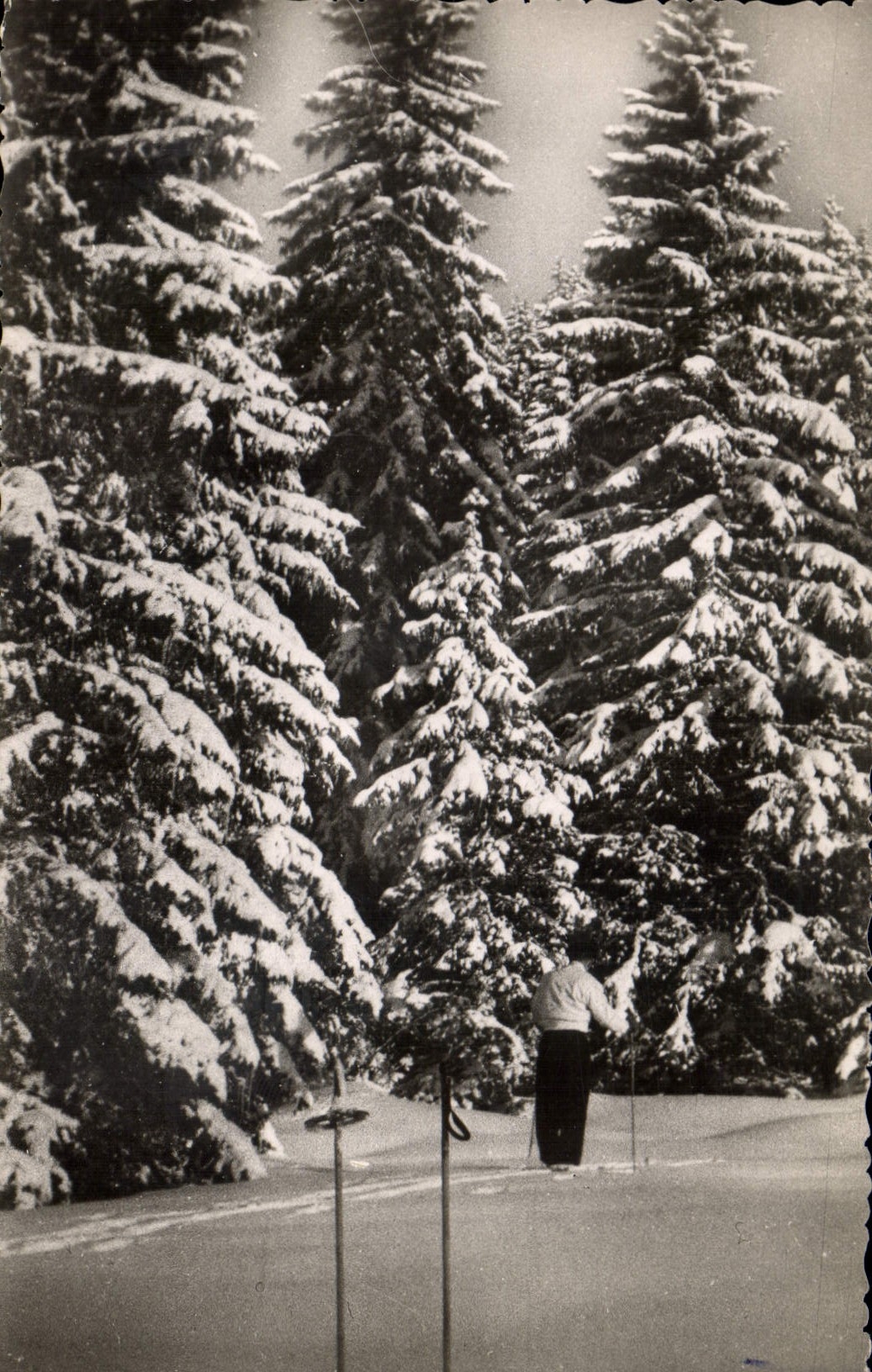 CPA Le Haut Jura en Hiver 