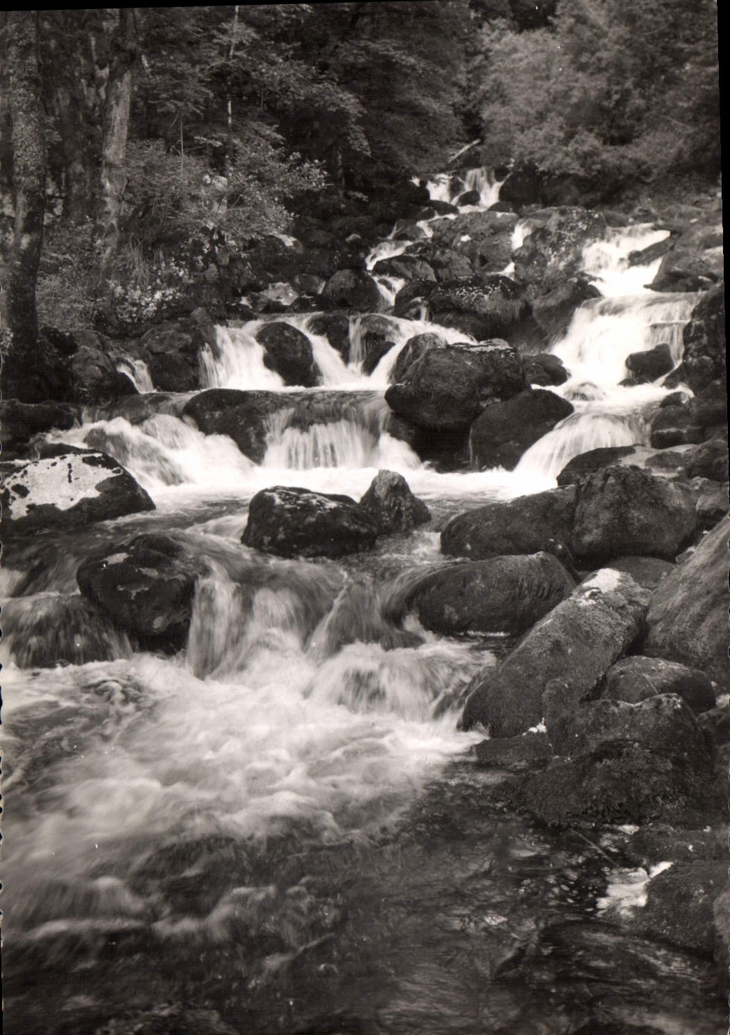 La Source du Drouvenant — Clairvaux-les-Lacs (Jura) — Edition E. PROTET
