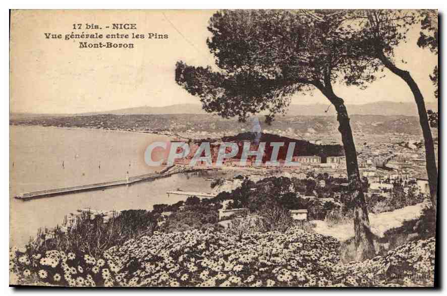 CPA Nice Vue generale entre les Pins Mont Boron 