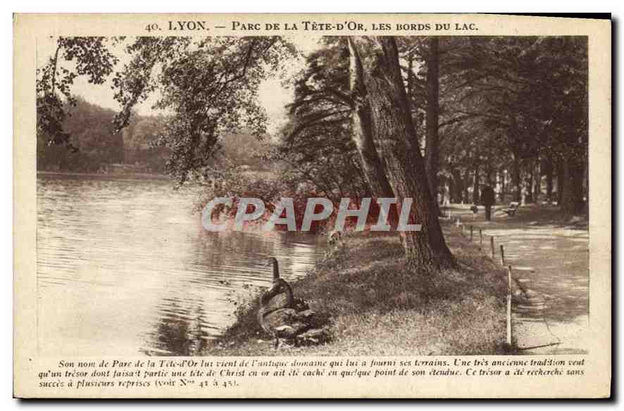 CPA Lyon Parc de la Tete d'Or Les Bords du Lac 