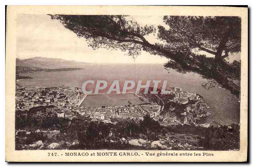 CPA Monaco et Monte Carlo Vue generale entre les Pins 