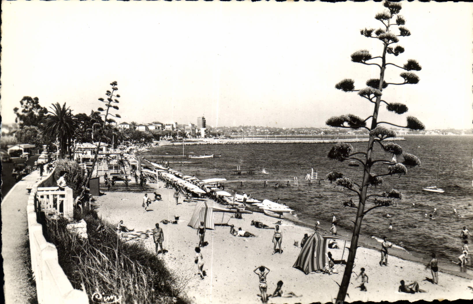 CPA Golfe Juan AM Vue panoramique de la Plage 