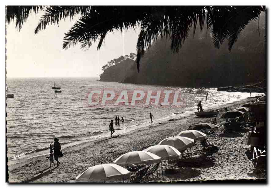CPA Cote d'Azur Contre jour sur la Plage 