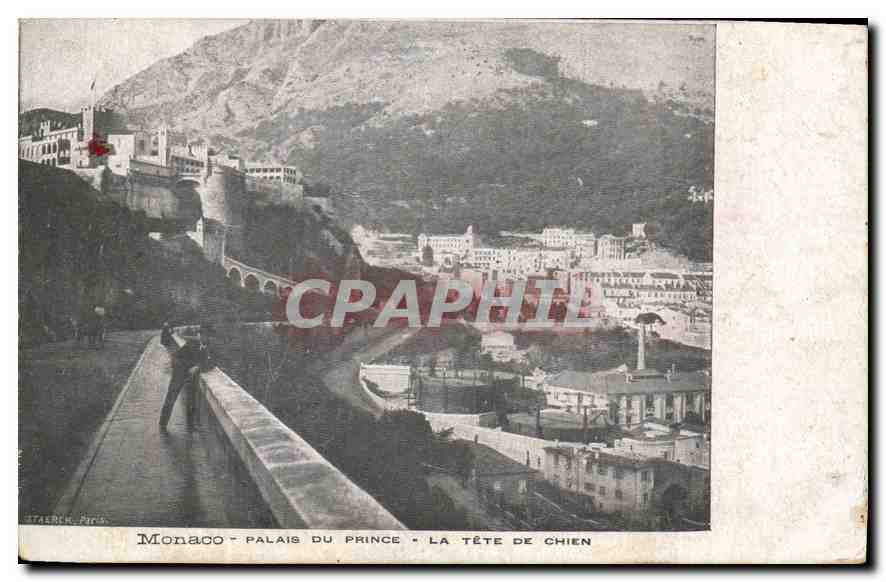 CPA Monaco Palais du Prince La Tete de Chien 