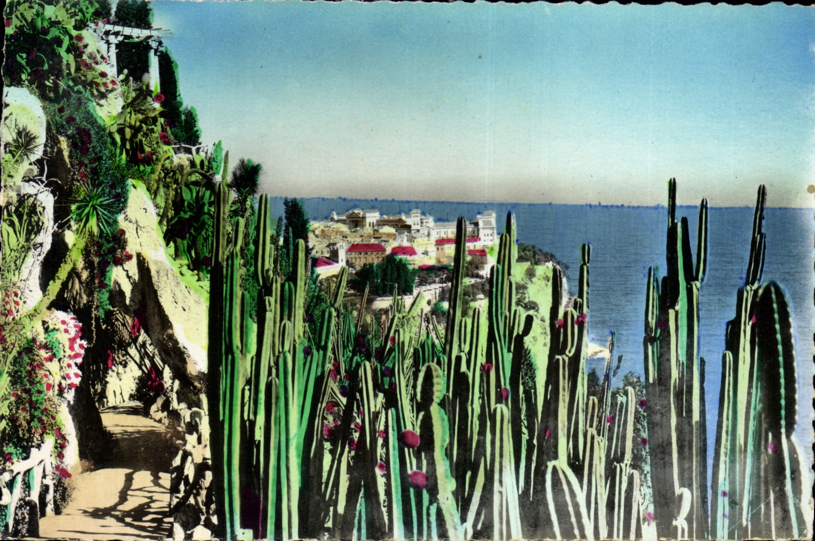 CPA Jardin Exotique de Monaco Vue sur Monaco 