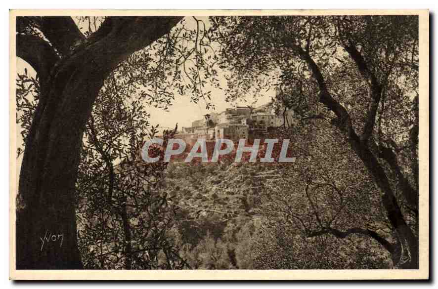 CPA Eze Alpes Maritimes Le Village vu a travers les Oliviers 