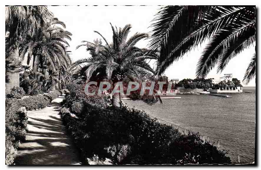 CPA Beaulieu sur Mer Le Jardin Exotique Au fond 