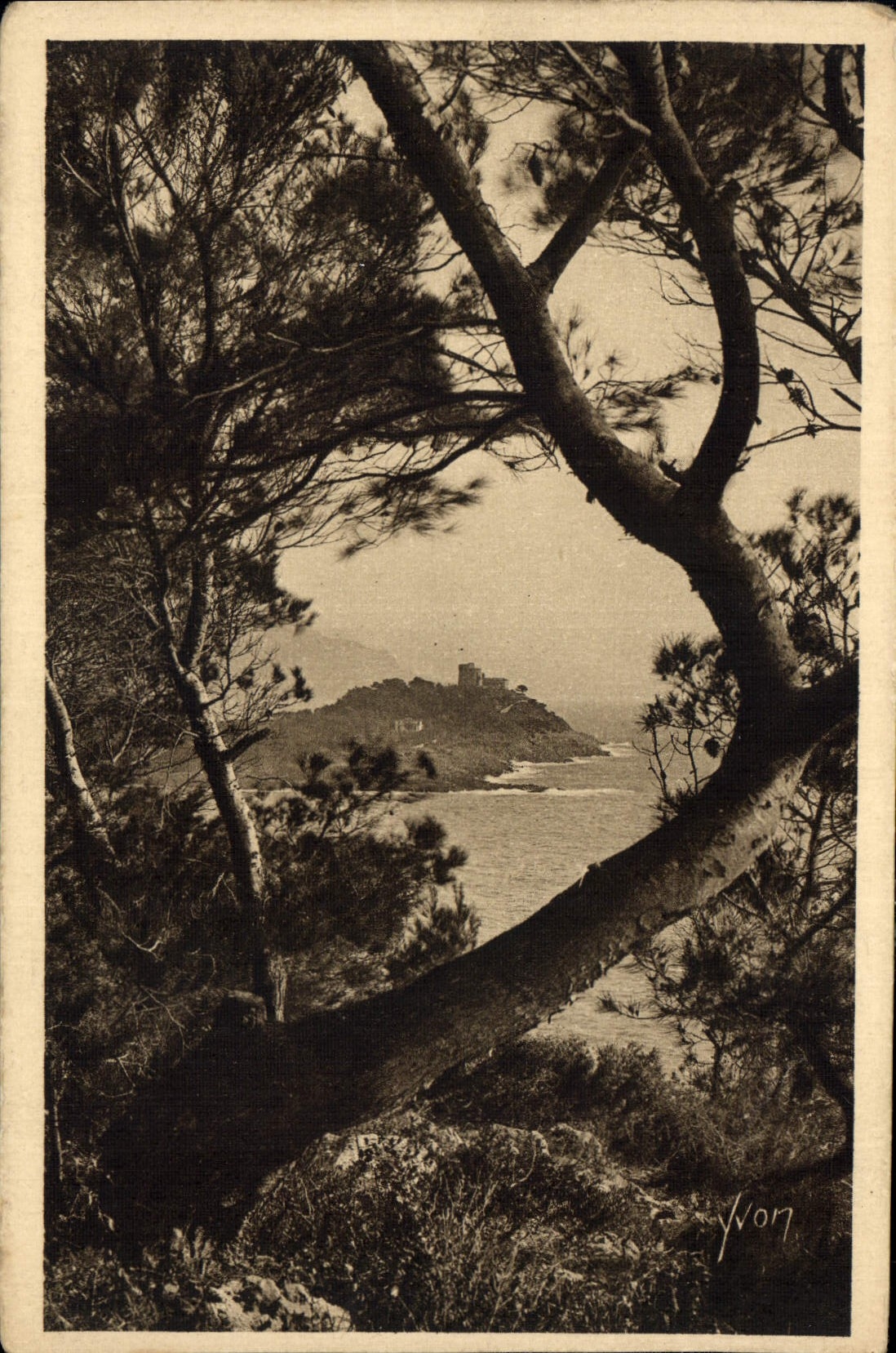 Cap Ferrat — vu à travers les Pins d'Alep — Édition d'Art YVON