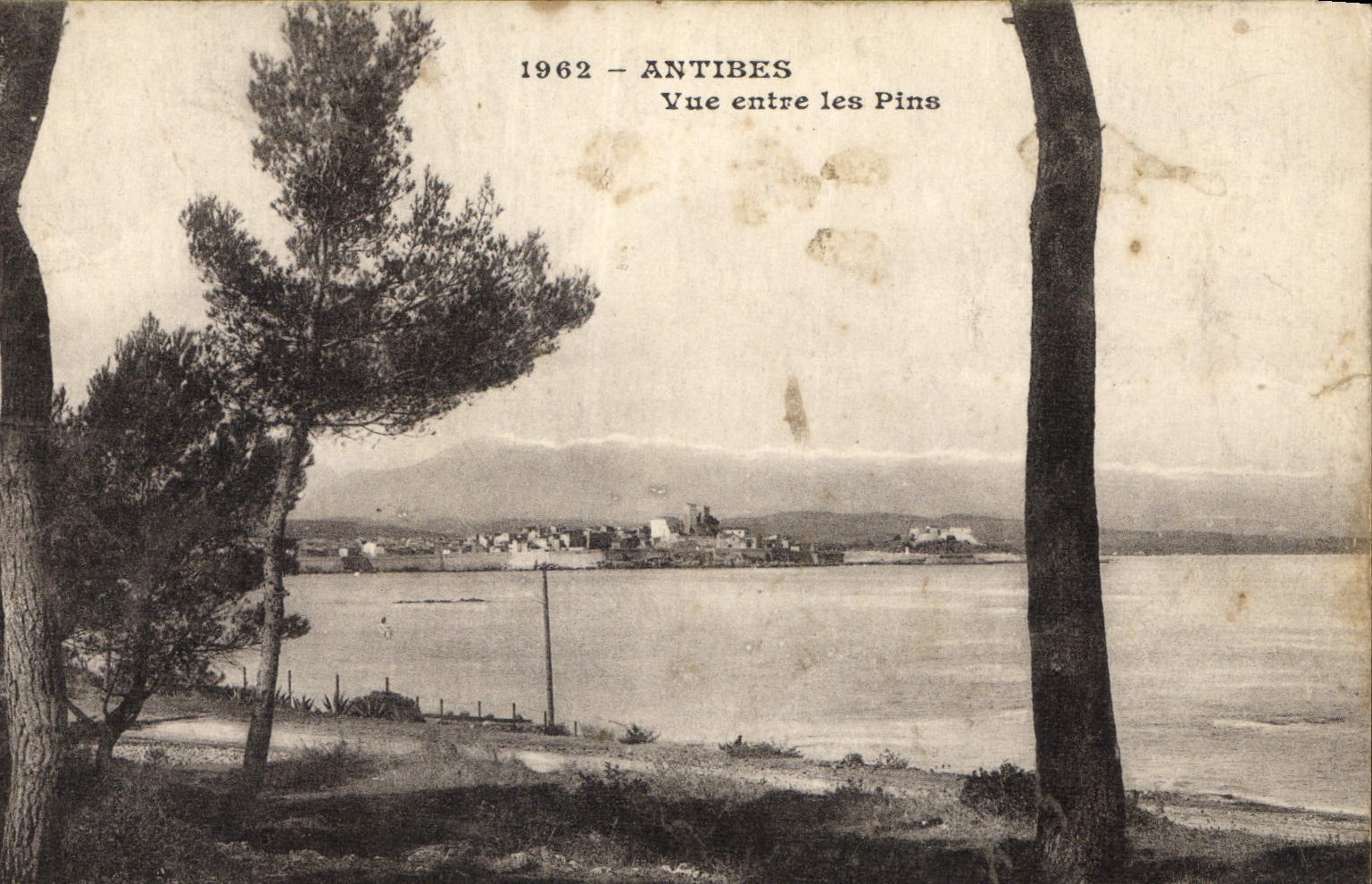 CPA Antibes Vue entre les Pins 