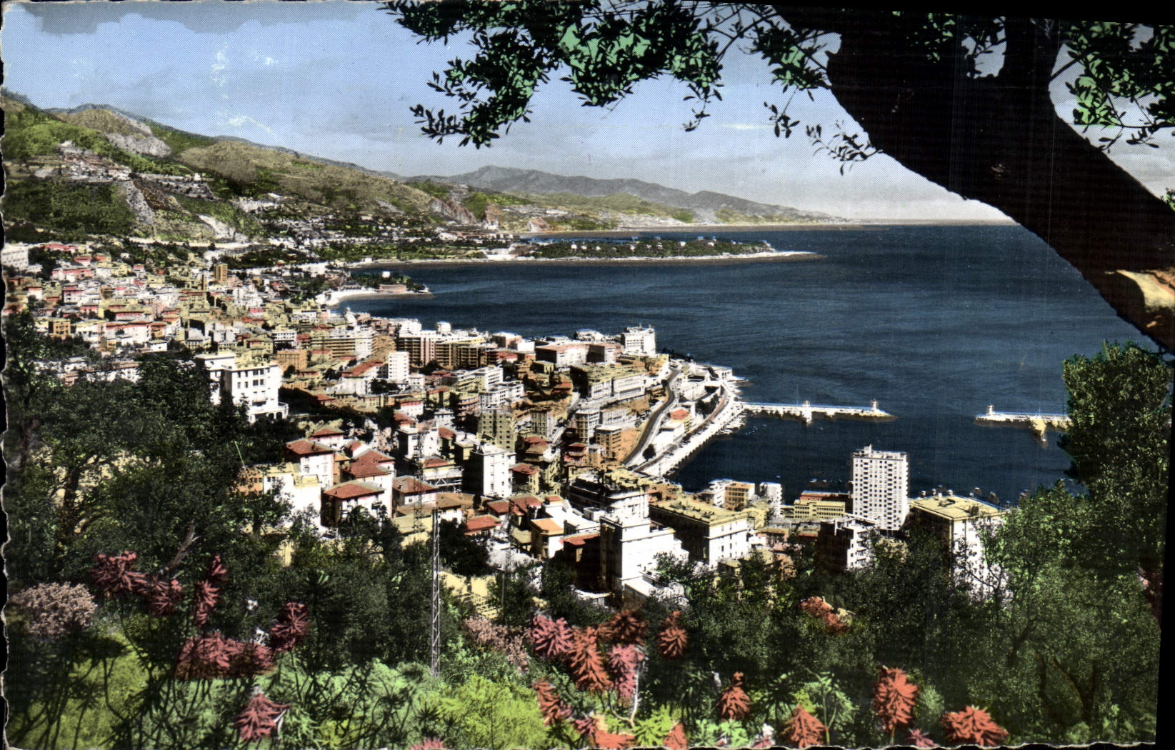 CPA Principaute de Monaco Le port Monte Carlo le Cap Martin et l'Italie 