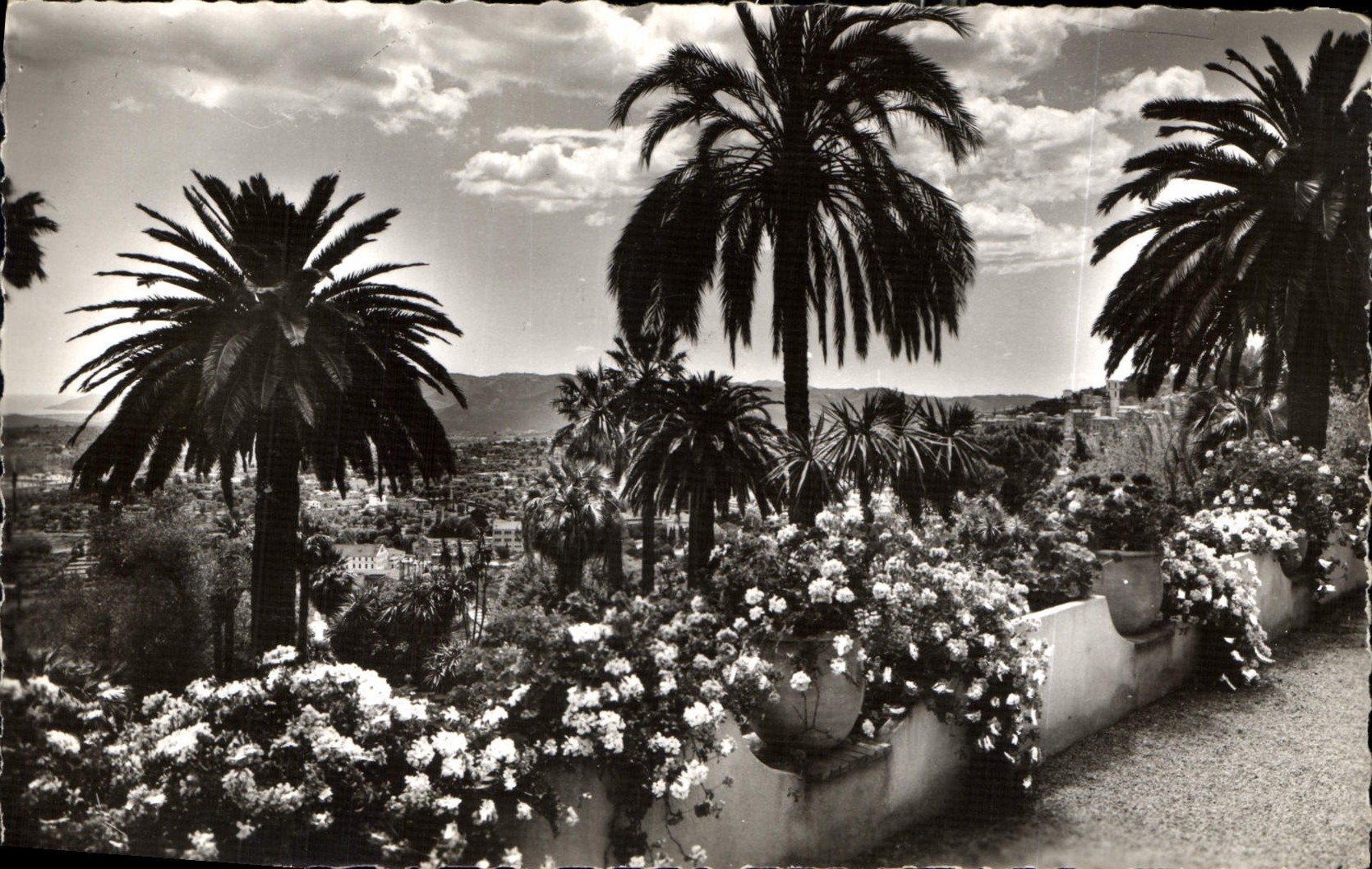 CPA Grasse Sa vegetation exotique Au fond la Mediterranee 