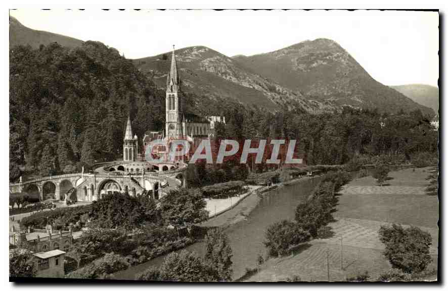 CPA Lourdes La Basilique et le Gave 