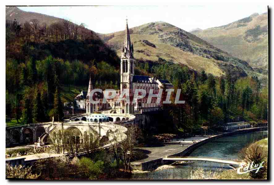 CPA Lourdes La Basilique le Gave et le nouveau 