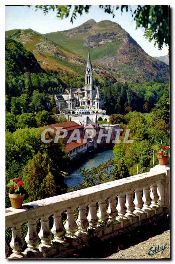 CPA Lourdes La Basilique et le Gave 