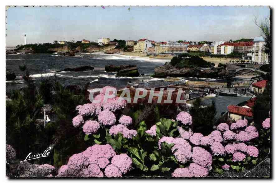 CPA Biarritz Les Hortensias et vue generale sur le Rocher du Basta la plage et le Phare 
