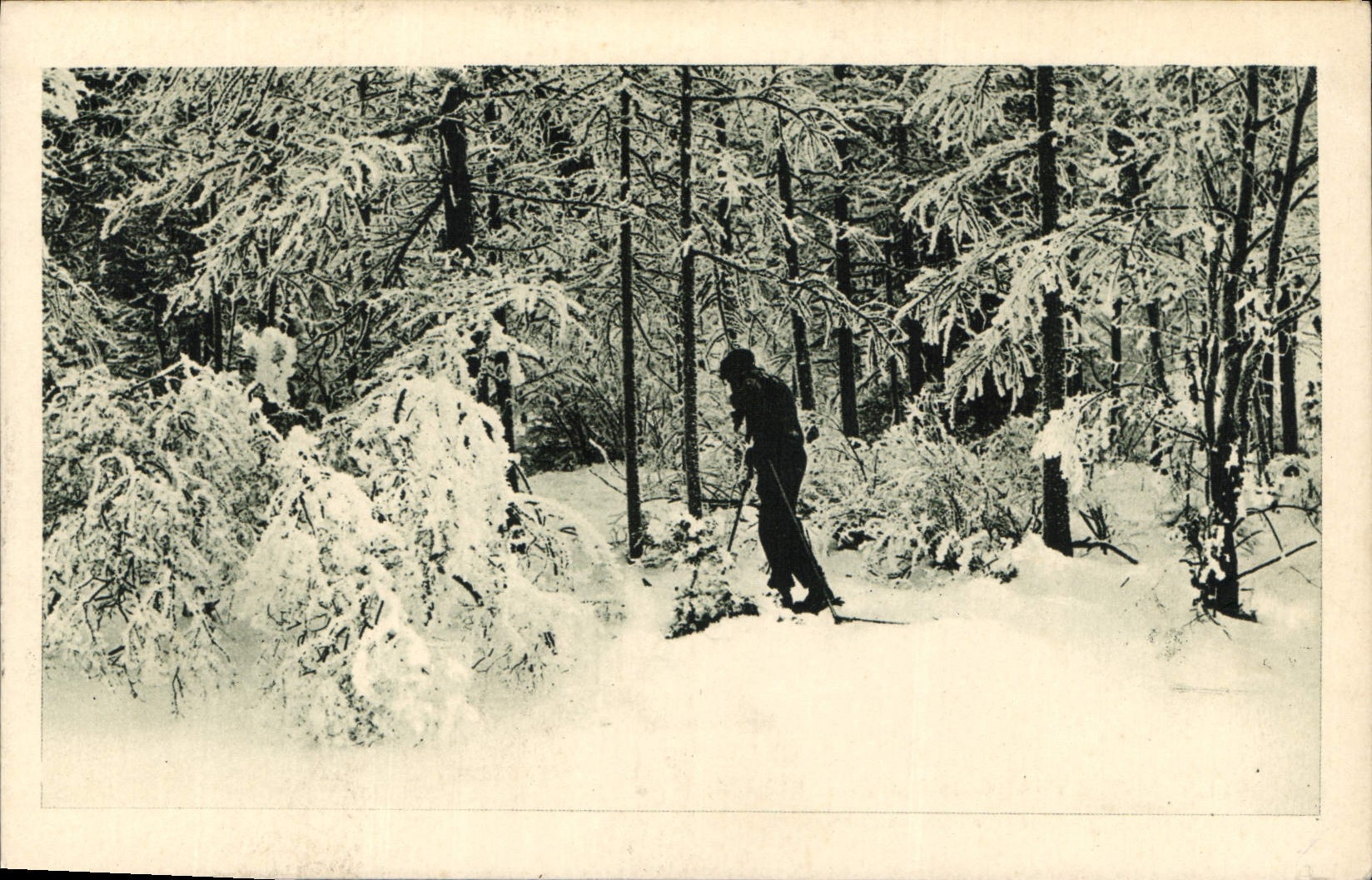 Aiguilles-en-Queyras (Hautes-Alpes) — Sous le givre à travers le forêt — Collection Roudy — éditeur « Les Arts Graphiques »