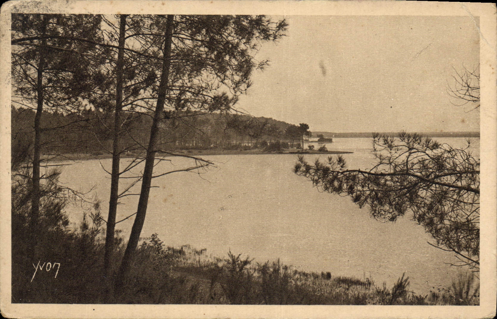 CPA Les Landes De Gascogne L'Etang d'Aureilhan pres de Mimizan 