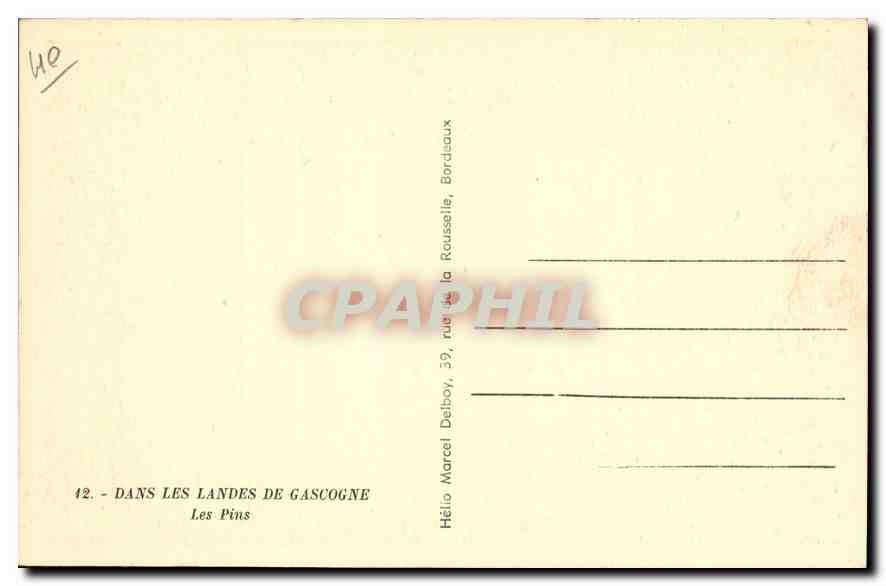 CPA Dans Les Landes de Gascgogne les Pins  — Rückseite