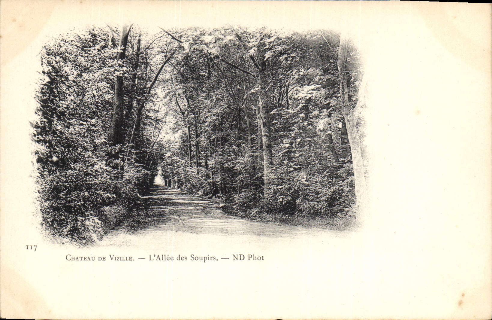 CPA Chateau de Vizille l'Allee des Soupirs 