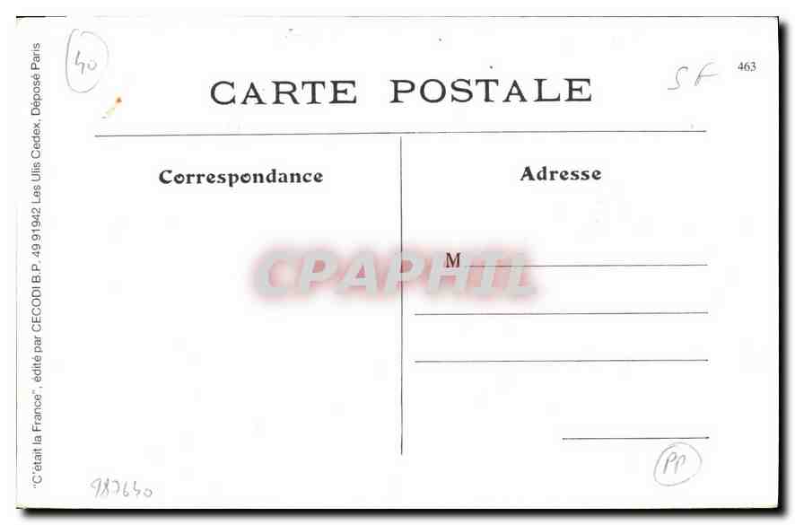REPRO Landes Recolle du Pignon ou semence de Pin  — Rückseite