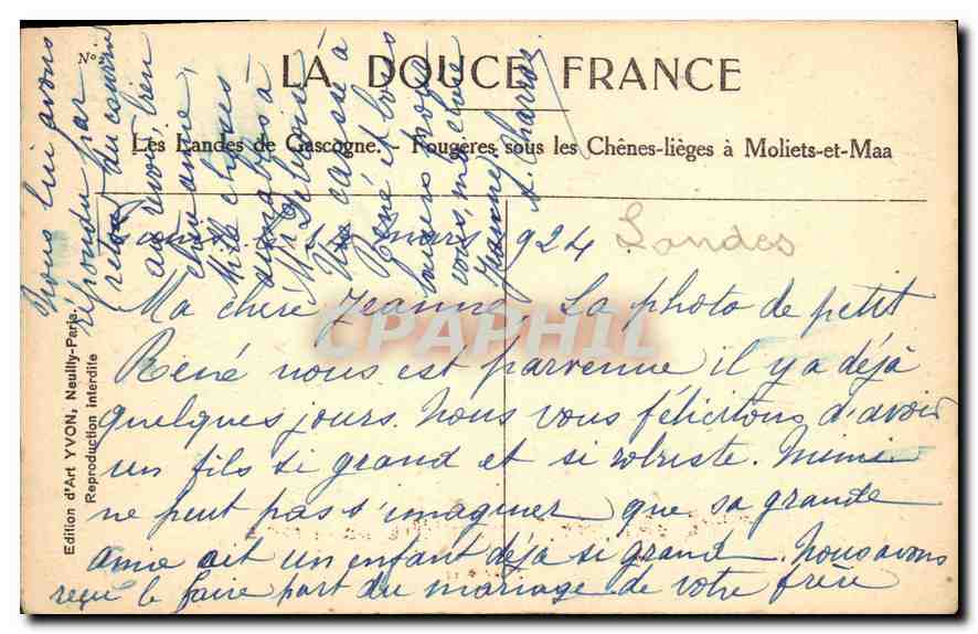 Forêt de Chênes-lièges — Les Landes de Gascogne — Édition d'Art YVON — Verso