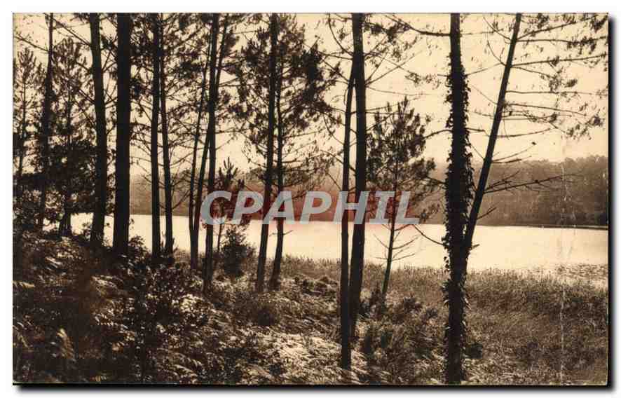 CPA Dans Les Landes de Gascogne Etang de Laprade a Moliets 