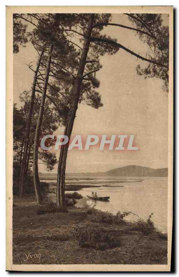 CPA Dans Les Landes de Gascogne l'Etang d'Hossegor pres de Capbreton 
