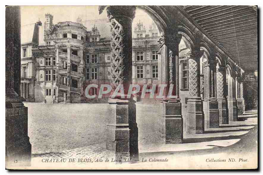 CPA Chateau de Blois Aile de Louis XII la Colonnade  