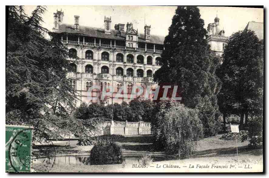 CPA Blois Le Chateau La Facade Francois 