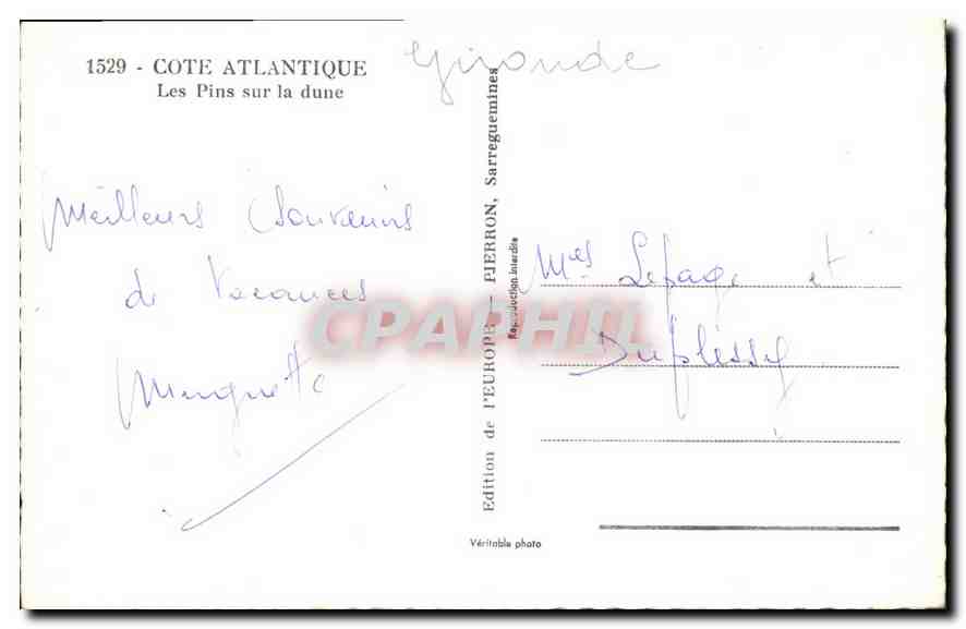 CPA Cote Allantique les Pins sur la dune  — Rückseite