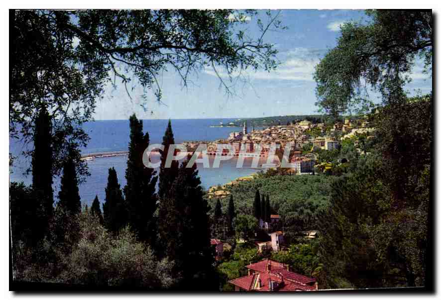 CPA 89 Les Sites Merveillux de la Cote d'Azur Menton AM vue generale prise a travers les oliviers 